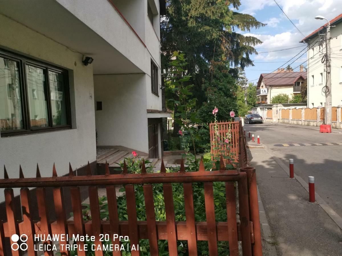 Enjoy Hostel Kaloşvar Dış mekan fotoğraf