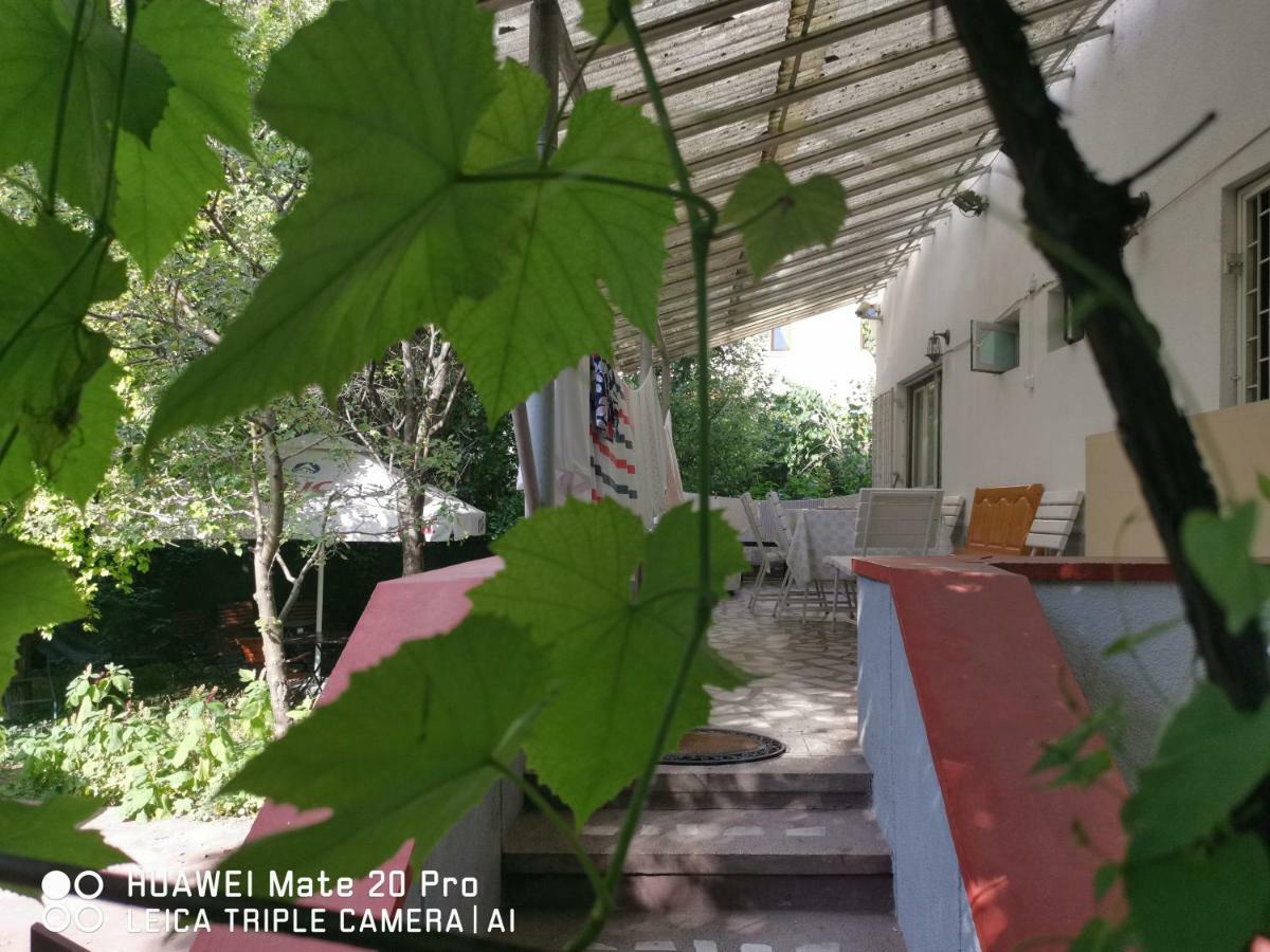 Enjoy Hostel Kaloşvar Dış mekan fotoğraf
